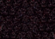 华体会在线-利物浦全队彰显团结！英超比赛士气高涨！