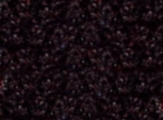 华体会在线-利物浦全队彰显团结！英超比赛士气高涨！