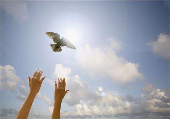 巴伦西亚遭遇失败,寻找改善之道 巴伦西亚遭遇失败,寻找改善之道